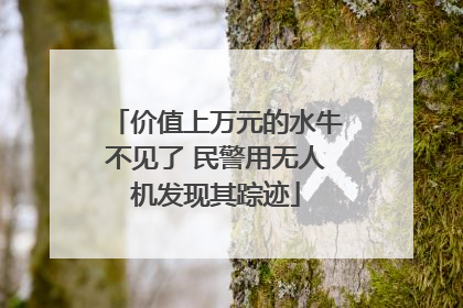 价值上万元的水牛不见了 民警用无人机发现其踪迹