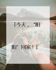 今天，“阳阳”回家！