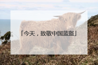 今天，致敬中国蓝盔