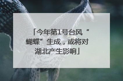 今年第1号台风“蝴蝶”生成，或将对湖北产生影响
