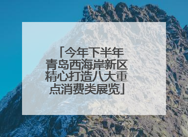 今年下半年 青岛西海岸新区精心打造八大重点消费类展览
