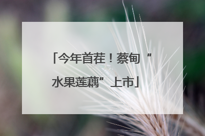 今年首茬！蔡甸“水果莲藕”上市