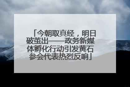 今朝取真经，明日破茧出——政务新媒体孵化行动引发黄石参会代表热烈反响