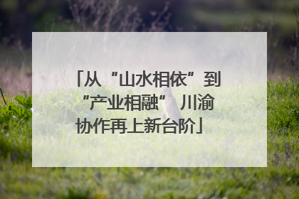 从“山水相依”到“产业相融” 川渝协作再上新台阶