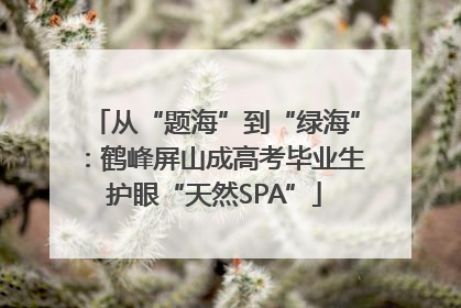 从“题海”到“绿海”：鹤峰屏山成高考毕业生护眼“天然SPA”