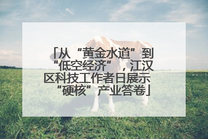从“黄金水道”到“低空经济”，江汉区科技工作者日展示“硬核”产业答卷