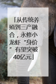 从传统养殖到三产融合，永修小龙虾“身价”有望突破40亿元