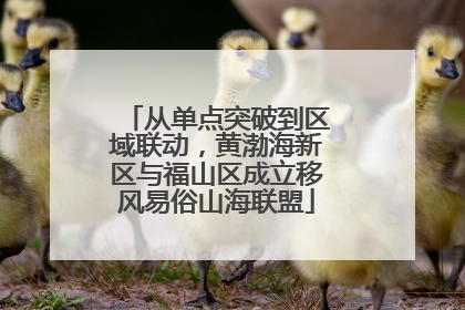 从单点突破到区域联动，黄渤海新区与福山区成立移风易俗山海联盟