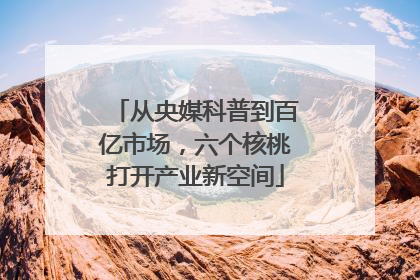 从央媒科普到百亿市场，六个核桃打开产业新空间