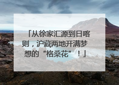 从徐家汇源到日喀则，沪藏两地开满梦想的“格桑花”！