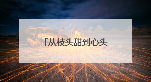 从枝头甜到心头，海南邮政快速助“荔”出岛