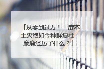 从零到过万！一度本土灭绝如今种群复壮 麋鹿经历了什么？