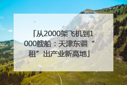 从2000架飞机到1000艘船：天津东疆“租”出产业新高地