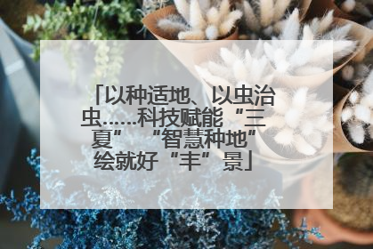 以种适地、以虫治虫……科技赋能“三夏” “智慧种地”绘就好“丰”景