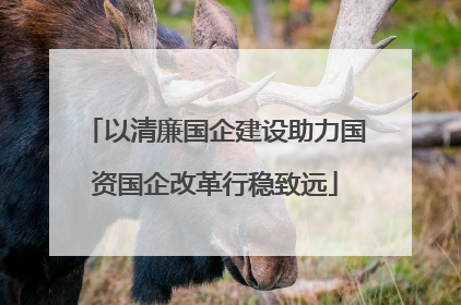 以清廉国企建设助力国资国企改革行稳致远