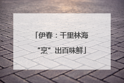 伊春：千里林海“烹”出百味鲜