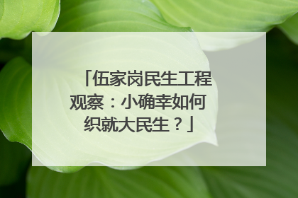 伍家岗民生工程观察：小确幸如何织就大民生？