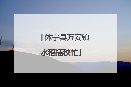 休宁县万安镇水稻插秧忙