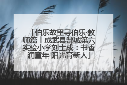 伯乐故里寻伯乐·教师篇丨成武县郜城第六实验小学刘士成：书香润童年 阳光育新人
