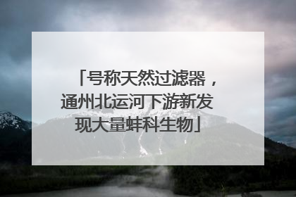 号称天然过滤器，通州北运河下游新发现大量蚌科生物