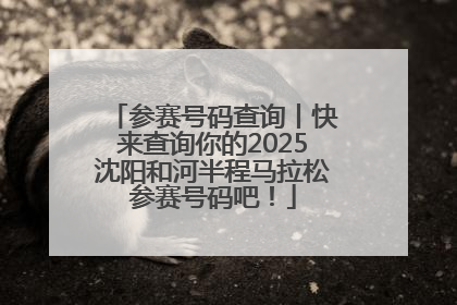 参赛号码查询丨快来查询你的2025沈阳和河半程马拉松参赛号码吧！