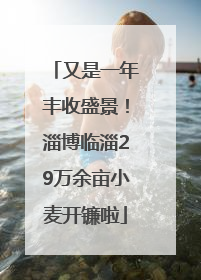 又是一年丰收盛景！淄博临淄29万余亩小麦开镰啦