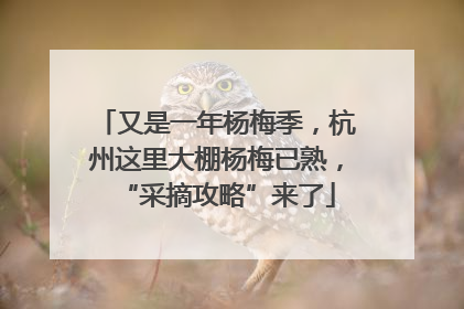 又是一年杨梅季，杭州这里大棚杨梅已熟，“采摘攻略”来了