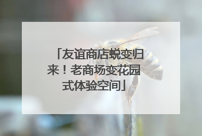 友谊商店蜕变归来！老商场变花园式体验空间