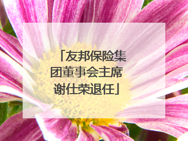 友邦保险集团董事会主席谢仕荣退任