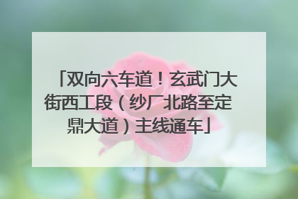 双向六车道！玄武门大街西工段（纱厂北路至定鼎大道）主线通车