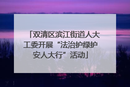 双清区滨江街道人大工委开展“法治护绿护安人大行”活动