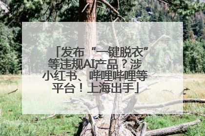发布“一键脱衣”等违规AI产品？涉小红书、哔哩哔哩等平台！上海出手
