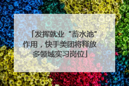 发挥就业“蓄水池”作用，快手美团将释放多领域实习岗位
