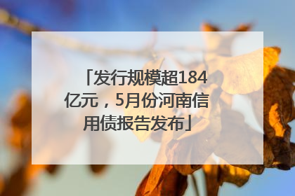 发行规模超184亿元，5月份河南信用债报告发布