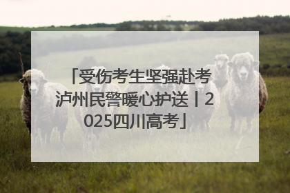 受伤考生坚强赴考 泸州民警暖心护送丨2025四川高考