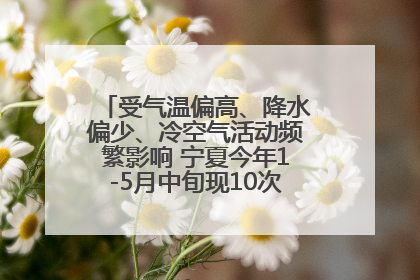 受气温偏高、降水偏少、冷空气活动频繁影响 宁夏今年1-5月中旬现10次定级沙尘天气过程