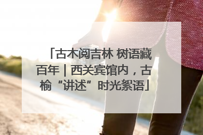 古木阅吉林 树语藏百年｜西关宾馆内，古榆“讲述”时光絮语