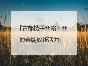 古都携手丝路！丝博会绽放新活力