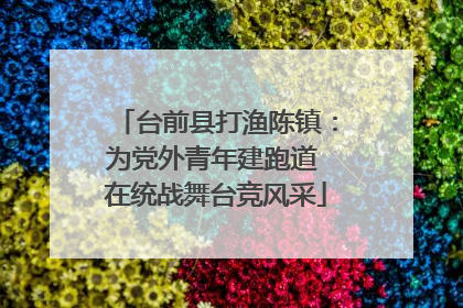 台前县打渔陈镇：为党外青年建跑道 在统战舞台竞风采
