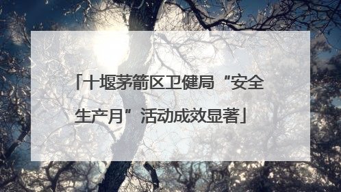 十堰茅箭区卫健局“安全生产月”活动成效显著