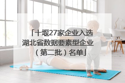 十堰27家企业入选湖北省数据要素型企业（第二批）名单