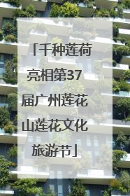 千种莲荷亮相第37届广州莲花山莲花文化旅游节
