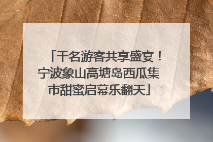 千名游客共享盛宴！宁波象山高塘岛西瓜集市甜蜜启幕乐翻天