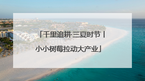 千里追耕·三夏时节丨小小树莓拉动大产业