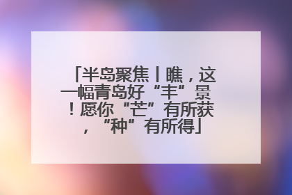 半岛聚焦丨瞧，这一幅青岛好“丰”景！愿你“芒”有所获，“种”有所得