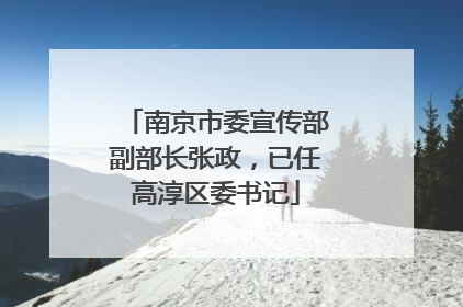 南京市委宣传部副部长张政，已任高淳区委书记