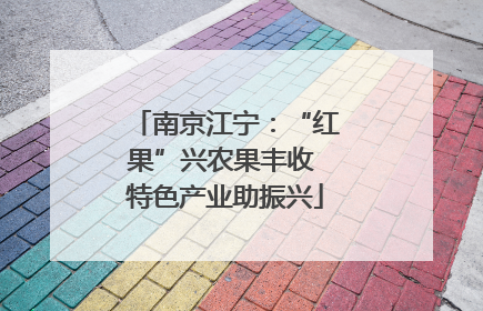 南京江宁：“红果”兴农果丰收 特色产业助振兴