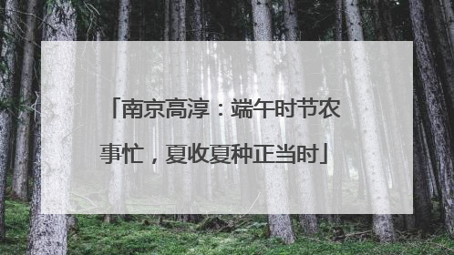 南京高淳：端午时节农事忙，夏收夏种正当时