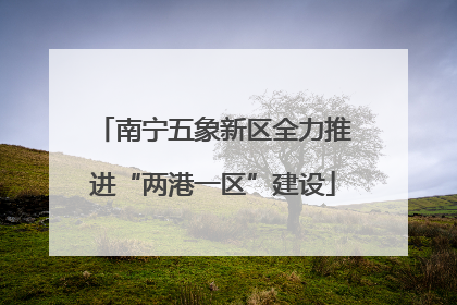 南宁五象新区全力推进“两港一区”建设