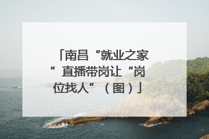 南昌“就业之家”直播带岗让“岗位找人”（图）